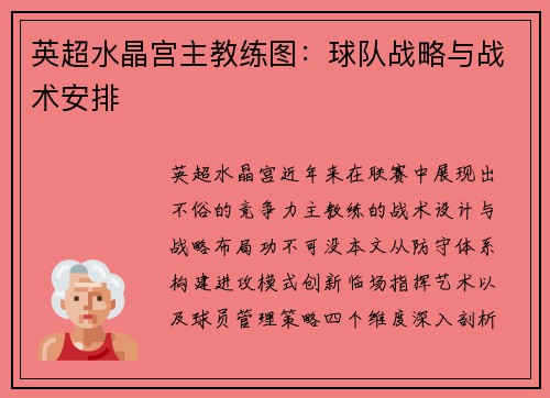 英超水晶宫主教练图：球队战略与战术安排
