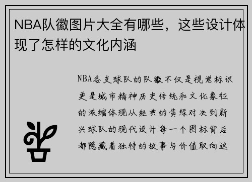 NBA队徽图片大全有哪些，这些设计体现了怎样的文化内涵